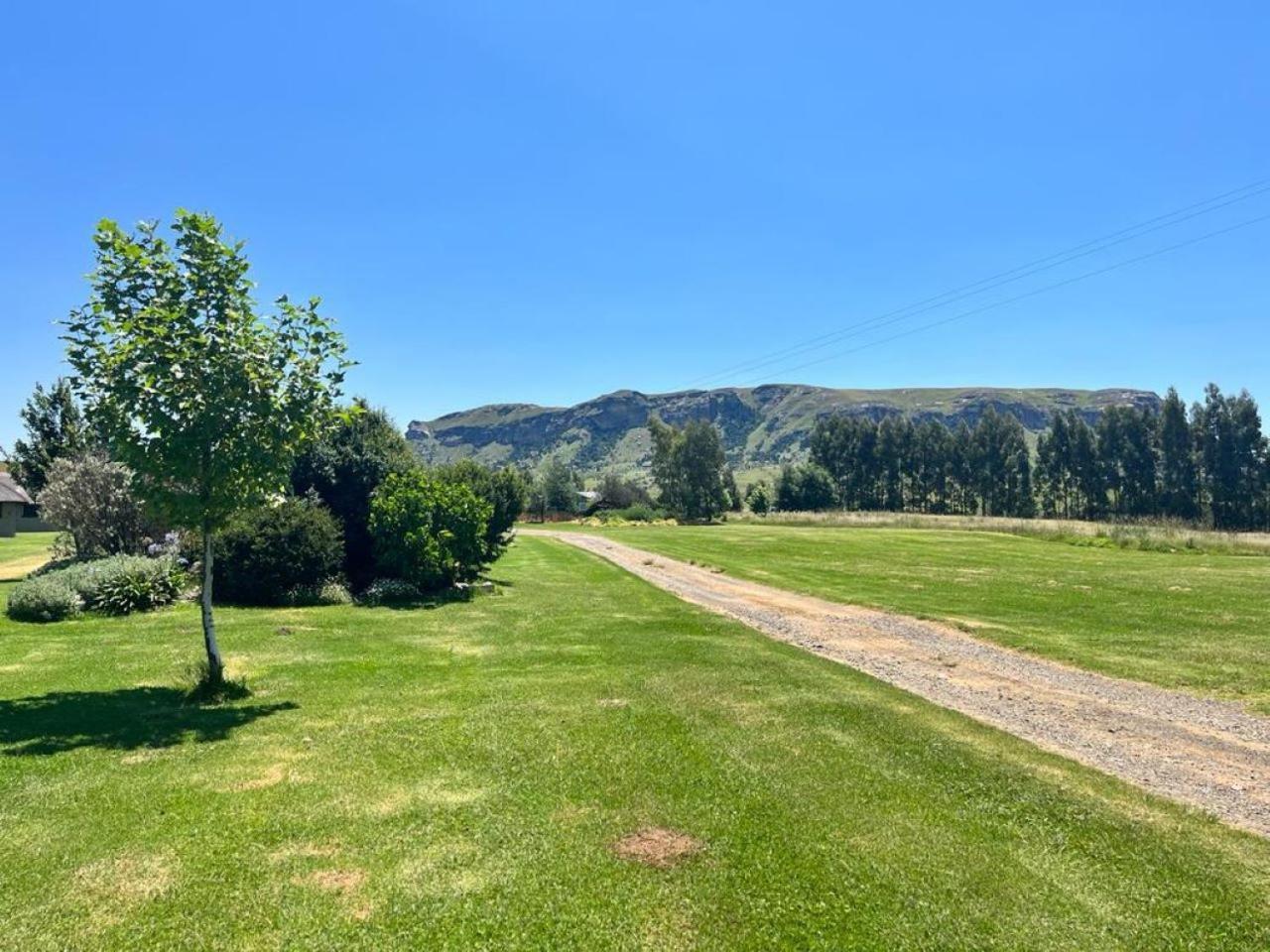 Windmill Farm Vila Bergville Exterior foto