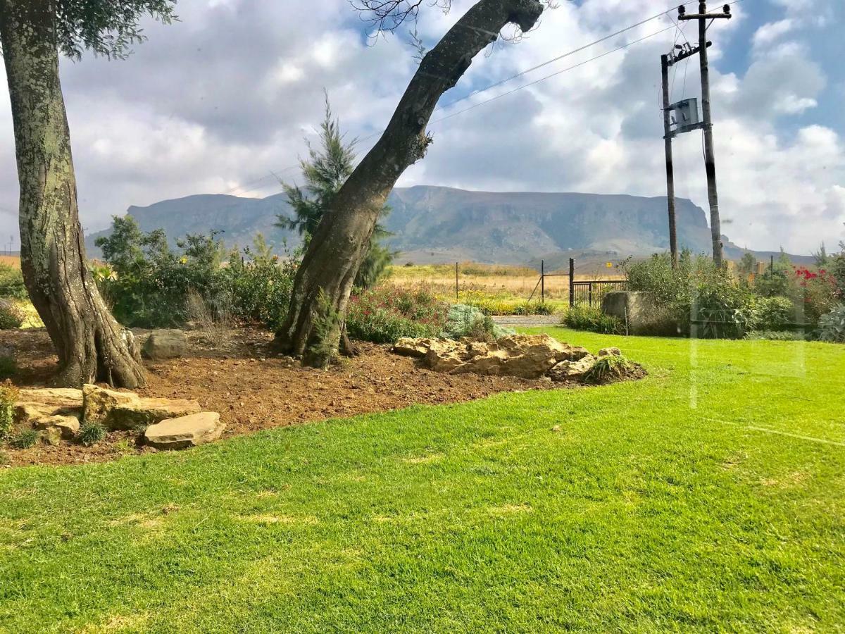 Windmill Farm Vila Bergville Exterior foto